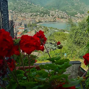 Sunrise Villa Rapallo